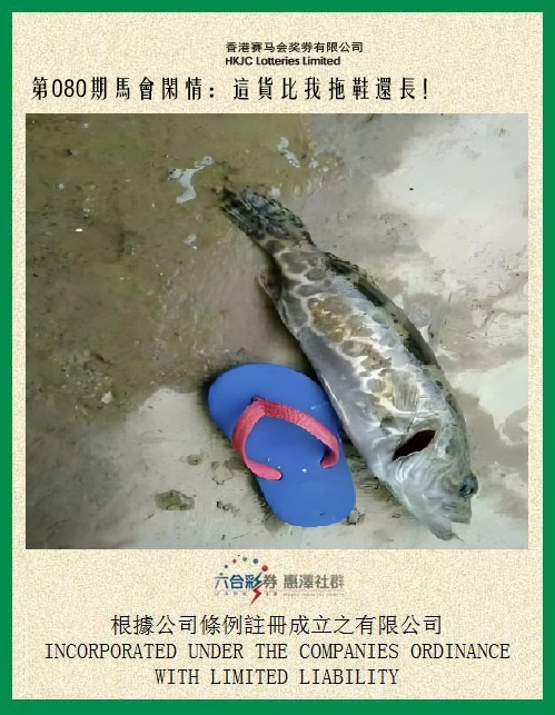 0.jpg